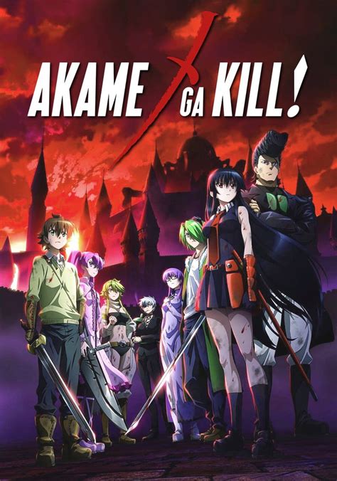 akame ga kill! television show|Watch Akame ga Kill!